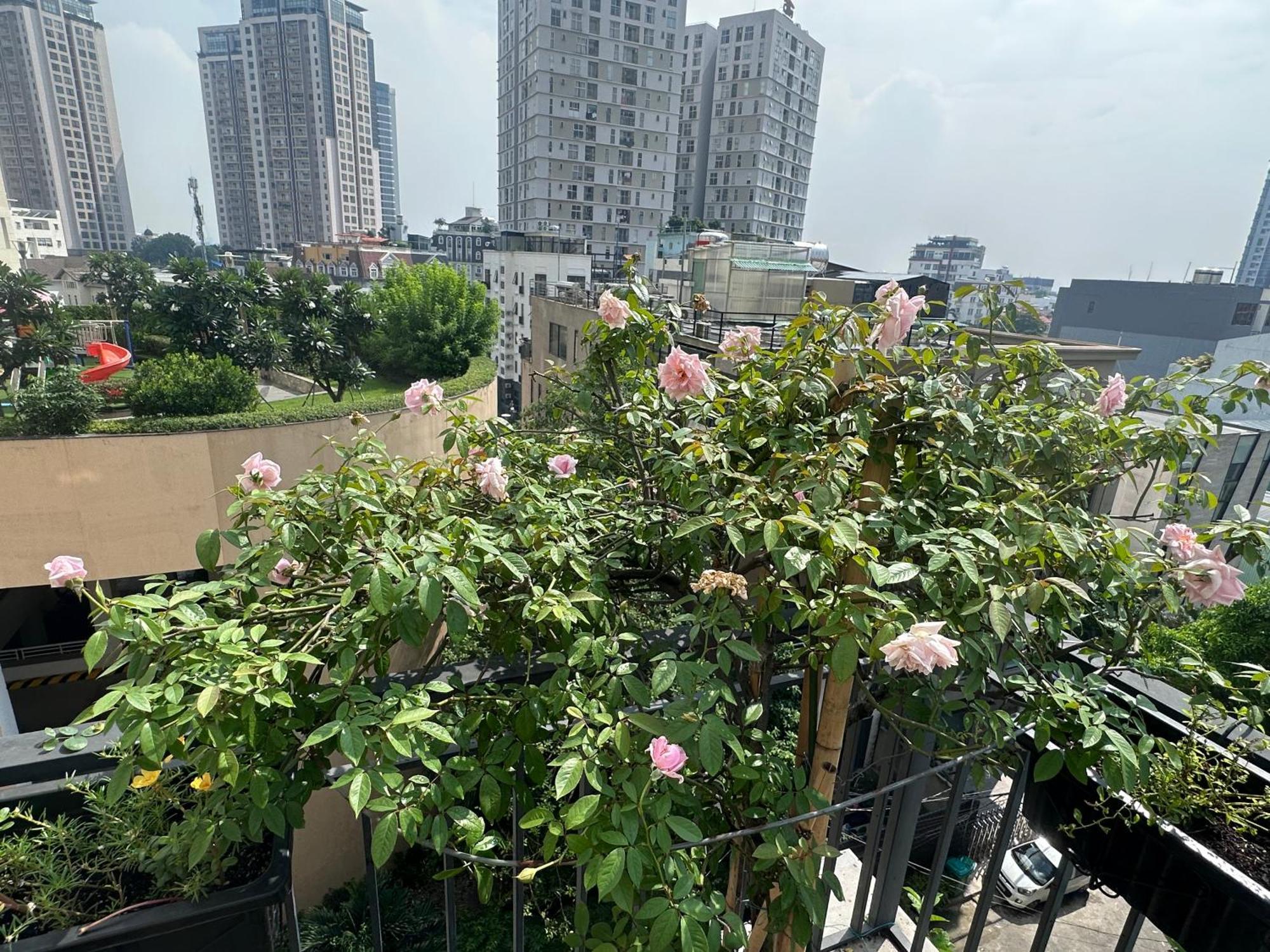 Homey Apartment Hô Chi Minh-Ville Extérieur photo